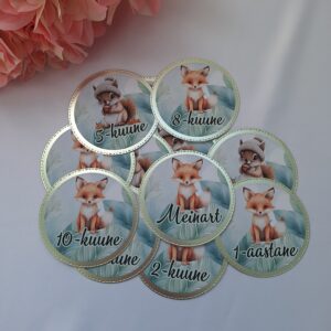 Kartongist kuukaardid