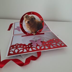 Pop-up kaart - Image 16