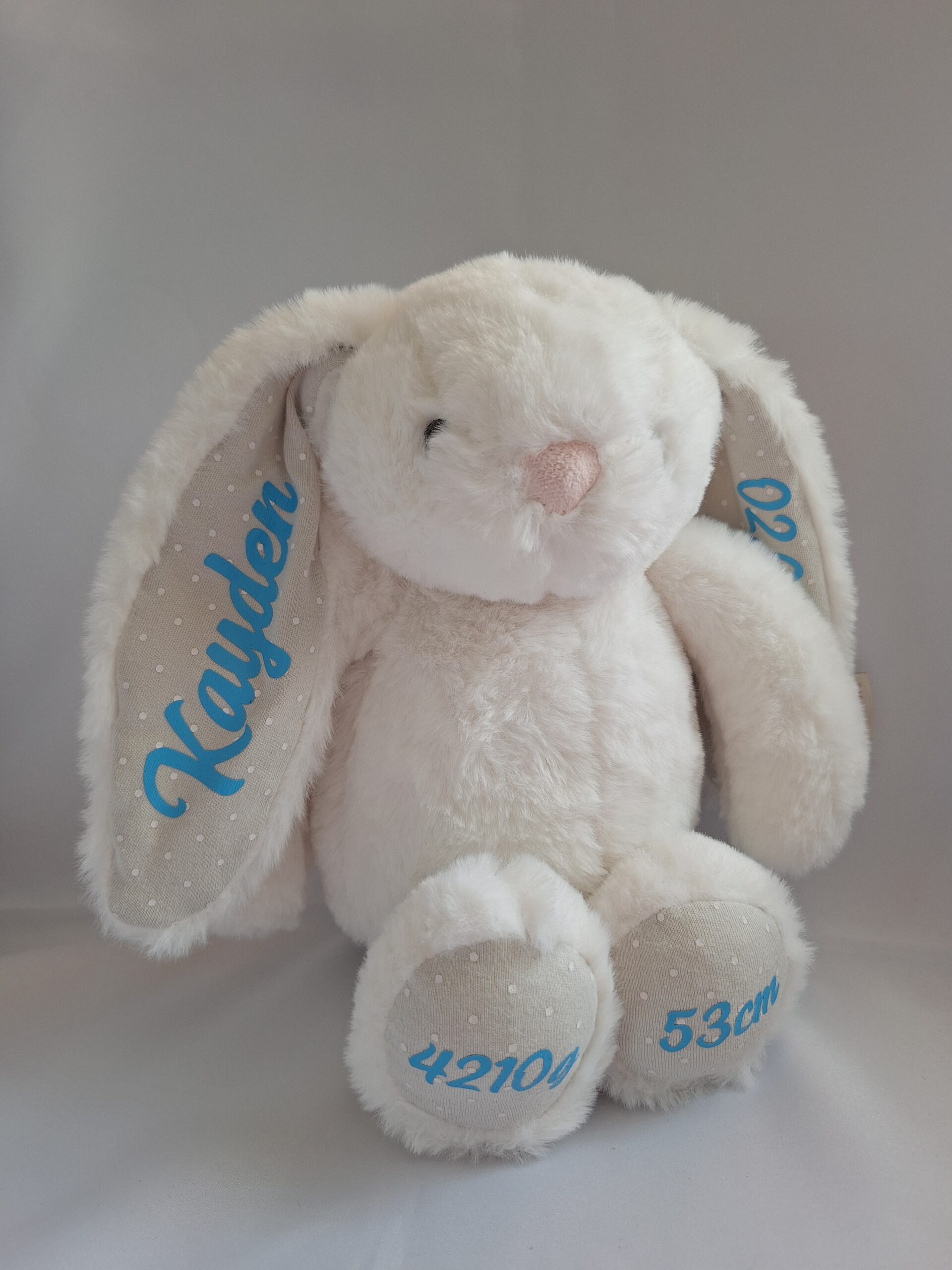 Nimeline jänes - Image 11