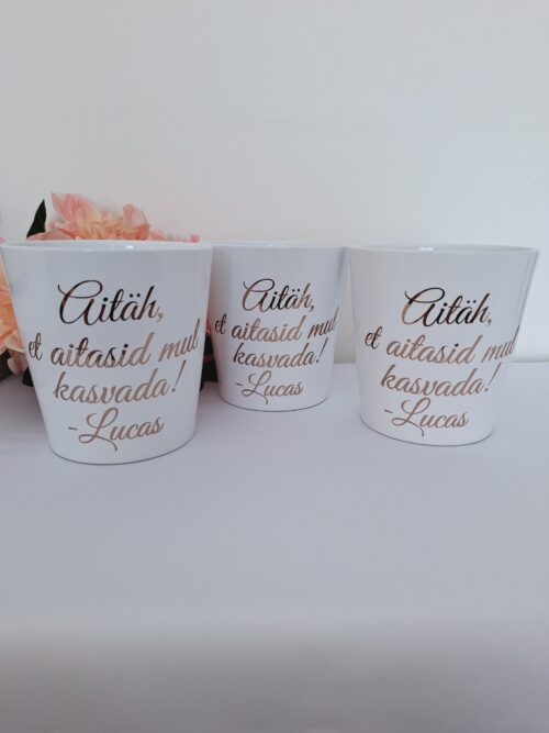 Tekstiga lillepott - Image 8
